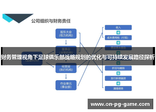 财务管理视角下足球俱乐部战略规划的优化与可持续发展路径探析