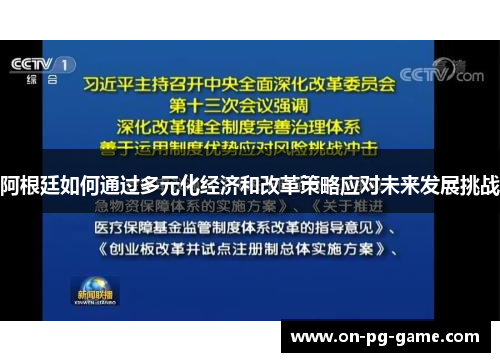 阿根廷如何通过多元化经济和改革策略应对未来发展挑战