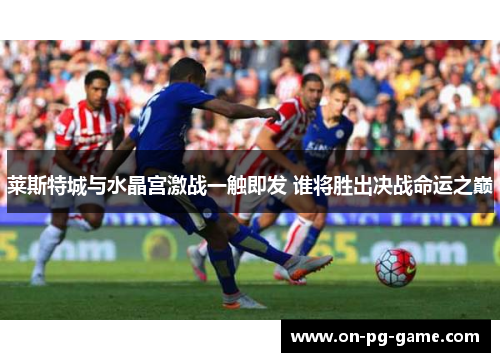 莱斯特城与水晶宫激战一触即发 谁将胜出决战命运之巅 莱斯特城与水晶宫激战一触即发 谁将胜出决战命运之巅